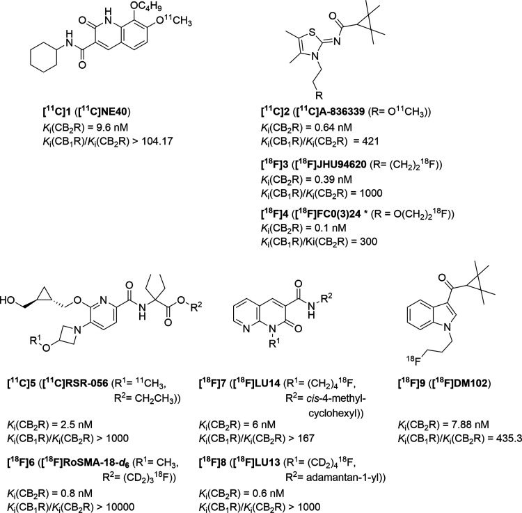 Selected radiolabeled CB2R ligands.24,25,28,30−32,37−41 *[18F]4 was found in the literature as either [18F]FC024 or [18F]FC0324.24,34−36