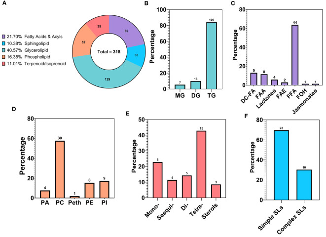 Compositional analysis of the lipid profile of walnut pellicle: (A) Lipid classes expressed as relative percentage of the total detected and identified metabolites. (B) Subclasses of Glycerolipids (GLs) expressed as % of the total features belonging to the GL class. (C) Subclasses of Fatty Acids and Acyls expressed as % of the total features belonging to the Fatty Acids and Acyl class. (D) Subclasses of Phospholipids (PLs) expressed as % of the total features belonging to the PL class. (E) Subclasses of Terpenes expressed as % of the total features belonging to the Terpenes class. (F) Subclasses of Sphingolipids (SLs) expressed as % of the total features belonging to the SL class. MG, Monoacylglycerol; DG, Diacylglycerol; TG, Triacylglycerol; DC-FA, Dicarboxylic Fatty Acid; FAA, Fatty Acid Amide; FAE, Fatty Acid Esters; FFA, Free Fatty Acid; FOH, Fatty alcohol.