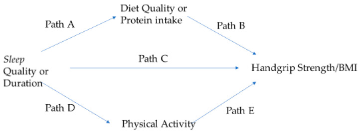 The conceptual model for exploring mediators in the association of sleep with handgrip strength. Paths A–E in the model represent direct effects. Diet quality or protein intake and physical activity are parallel mediators.