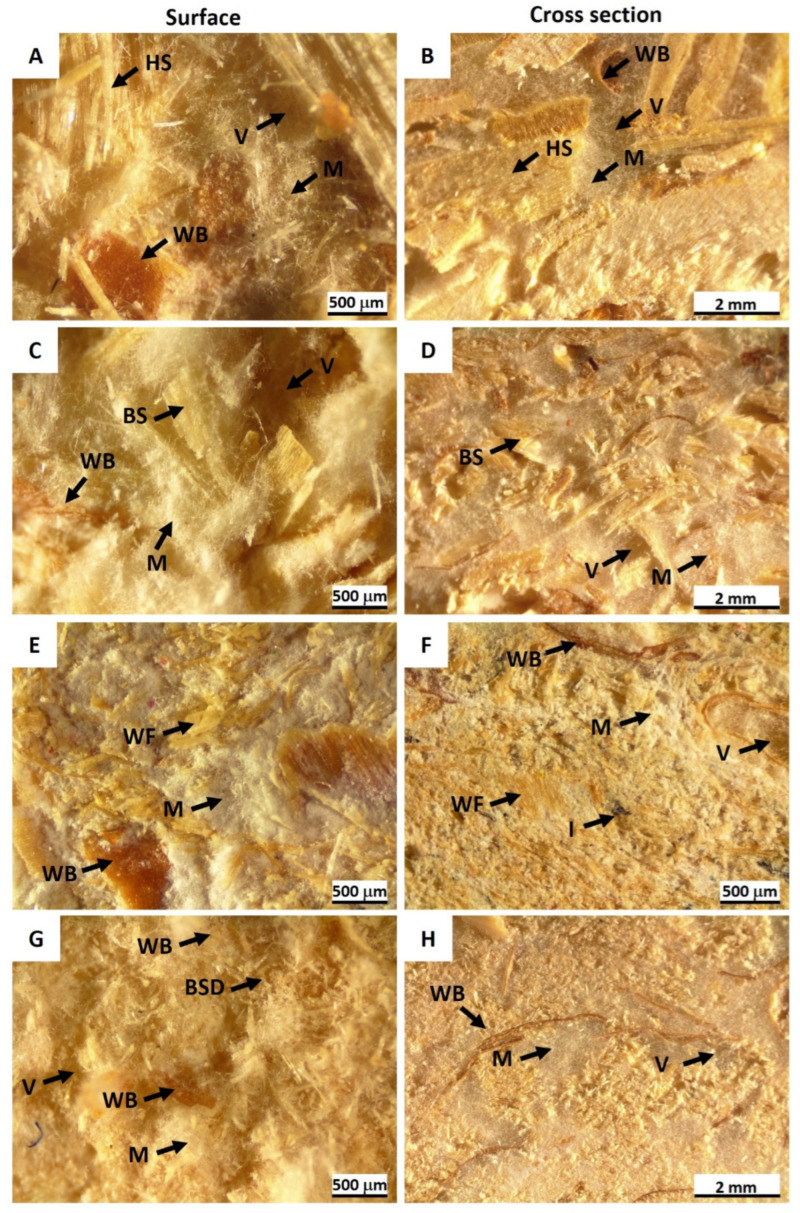 Microstructure of mycelium biocomposites derived from Trametes versicolor mycelium and different substrates: (A,B) hemp (HS)/wheat bran (WB); (C,D) birch sawdust (BS)/WB; (E,F) waste fibers (WF)/WB; (G,H) birch sanding dust (BSD)/WB. Arrows indicate substrates with WB, mycelium (M), voids (V), and ink (I). Scale bars 500 µm (A,C,E,F,G) and 2 mm (B,D,F).