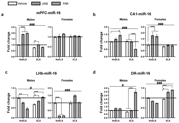The effects of ELS and chronic late-adolescence treatment with URB or PAR on the expression of miR-16-5p in adult males and females. (a) In the mPFC, in ELS males, URB normalized the expression of miR-16 compared to ELS-Vehicle; in NoELS males, URB and PAR upregulated expression compared to NoELS-Vehicle. No significant differences were observed in females (n = 5–10). (b) In the CA1, in ELS males, PAR downregulated expression compared ELS-Vehicle or ELS-URB; in NoELS males PAR upregulated expression compared to NoELS-Vehicle; in NoELS females, URB and PAR upregulated expression compared to NoELS-Vehicle (n = 5–8). (c) In the LHb, in ELS males, URB and PAR upregulated expression compared to ELS-Vehicle; in NoELS males, PAR downregulated expression compared to NoELS-Vehicle. In NoELS females, URB and PAR downregulated expression compared to NoELS-Vehicle (n = 5–8). (d) In the DR, in ELS males, PAR upregulated expression compared to ELS-Vehicle or ELS-URB. In ELS females, URB and PAR upregulated expression compared to ELS-Vehicle (n = 5–8). DR: dorsal raphe; ELS: early life stress; LHb: lateral habenula; mPFC: medial prefrontal cortex; PAR: paroxetine; URB: URB597. *, p < 0.05; **, p < 0.01; ***, p < 0.001 indicate statistically significant effects followed by post hoc comparisons. #, p < 0.05; ###, p < 0.001 indicate statistical significance in main effects.