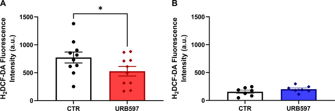 Daily FAAH inhibitor treatment lowers oxidative stress in rd10 retinas. A Fluorescence analysis of the H2DCF-DA probe in whole retinal extracts at P19 shows that URB597 treated animals displayed lower levels of ROS compared to controls. B No change in fluorescence intensity of the retinas was observed at P25 between groups. Results represent the mean ± SEM of ten and seven independent experiments, respectively. *p < 0.05