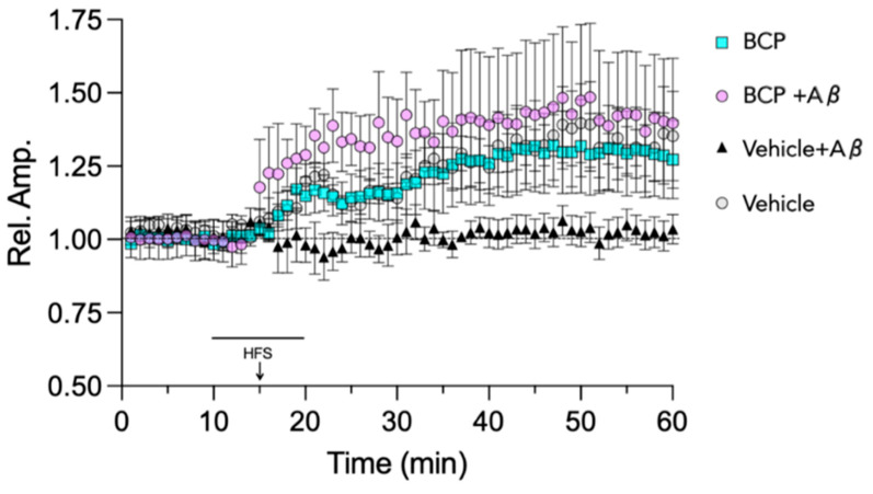 BCP rescues the inhibitory effect of Aβ1-42 on LTP in EC slices. BCP 10 µM was able to restore the synaptic plasticity impairment caused by acute perfusion Aβ1-42 200 nM. High frequency stimulation (HFS, three trains of 100 pulses at 100 Hz, 10 s interval) was used to induce LTP. The LTP magnitude is expressed as relative amplitude (Rel. Amp.). Data points represent mean ± SEM of 6–10 slices per group, derived for at least 8 mice.