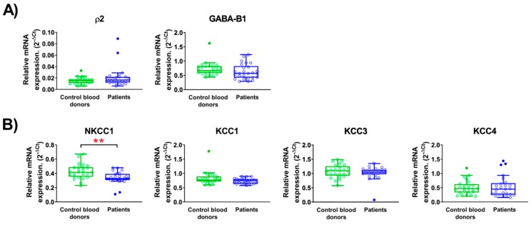 The relative mRNA expression in peripheral blood mononuclear cells (PBMCs) from CBD and patients. (A) GABAA receptor subunit ρ2 and GABAB receptor subunit B1 expression level. (B) Chloride co-transporters: NKCC1, KCC1, KCC3, and KCC4 expression level. Data are shown as a box and whiskers overlapped with a scatter dot plot. The outliers were detected using Tukey’s test (with 1.5 times +/− IQR, inter quartile range) and are shown with filled circles. Normality of data was assessed by the Shapiro–Wilk normality test (Table S8). ** p < 0.01.