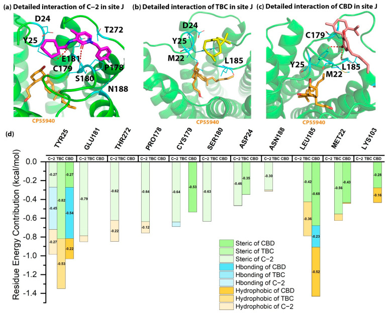 The detailed interactions and residue energy contribution of C-2, TBC and CBD in site J. (a) The detailed binding pose of C-2 in site J. (b) The detailed binding pose of TBC in site J. (c) The detailed binding pose of CBD in site J. (d) The comparisons of residue energy contribution of the binding residues for these AMs in site J.