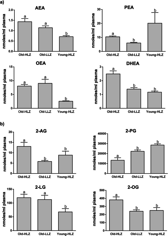 Mean values ± SEM expressed as nmoles/ml plasma of endocannabinoidome mediators. N-acyl-ethanolamines (a) and 2-monoacyl-glycerol (b) in 42 octogenarians (> 80 years) from an area of Sardinia that possesses a strikingly high level of long-living people (Old-HLZ); 21 subjects (65–70 years) from the same zone (Young-HLZ) and 22 octogenarians (> 80 years) from a different area with a distinctly lower level of longevity (Old-LLZ). To assess the statistical significance between groups, we performed the Kruskal-Wallis test (one-way ANOVA on ranks) followed by Dunn’s correction for multiple comparisons. Different letters indicate significant differences amongst groups (p≤0.05). Anandamide (AEA), palmitoyl-ethanolamide (PEA), oleoyl-ethanolamide (OEA), docosahexaenoyl-ethanolamide (DHAEA), 2-arachidonoyl-glycerol (2-AG), 2-palmitoyl-glycerol (2-PG), 2-linoleoyl-glycerol (2-LG), 2-oleoyl-glycerol (2-OG)