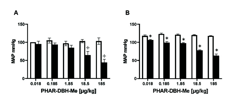 Effect of PHAR-DBH-Me (0.018–185 µg/kg) on the mean arterial pressure (MAP), determined with the direct (A) and indirect (B) method.Control (white bars); PHAR-DBH-Me (black bars). The data represents the average of the decrease in blood pressure (mmHg). Data are reported as the mean ± SD of 5 different animals in each group. †p < 0.05 between direct groups and *p < 0.05 between indirect groups.