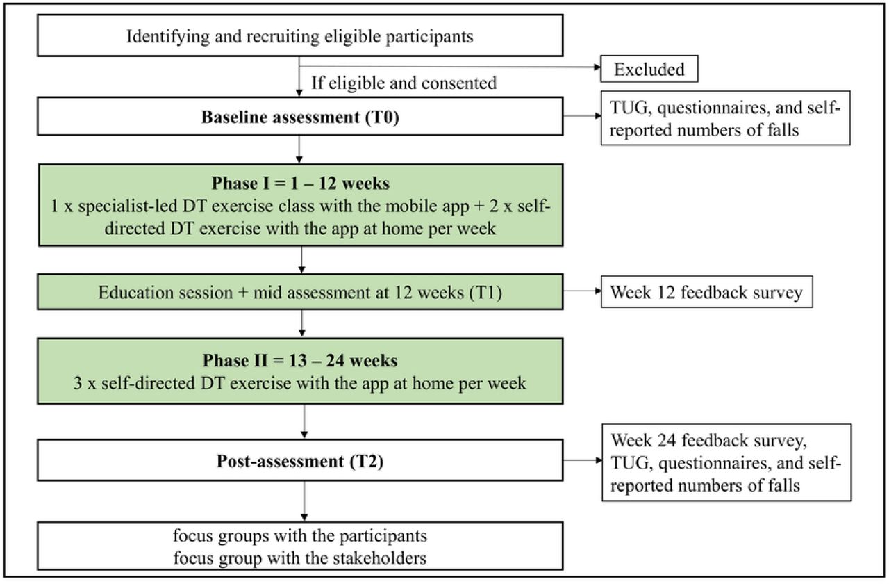 Study Flow Diagram.DT: dual-task; TUG: Timed Up & Go.