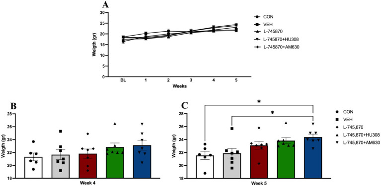 Body weight. Data express the mean ± SEM. (A) Body weight per week. (B) Body weight analysis between groups on Week 4 (before starting treatment). (C) Body weight analysis between groups on Week 5 (BET sessions under treatment); *p < 0.01.