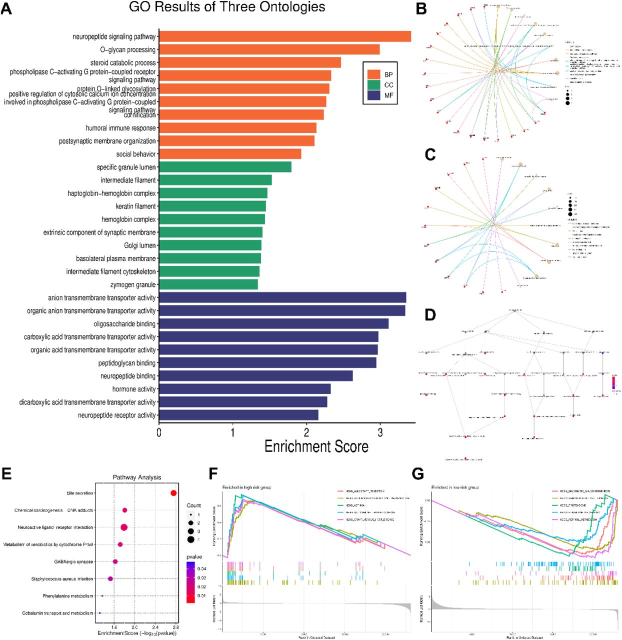 Enrichment analysis A. GO enrichment analysis bar graph; B. Network diagram showing specific enrichment biological process; C. Network diagram showing specific enrichment cellular component; D. Network diagram showing specific enrichment molecular function; E. KEGG pathway enrichment analysis; F. GSEA enriched in high risk group; F. GSEA enriched in low risk group.