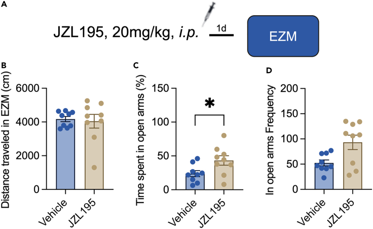 JZL195 is anxiolytic one day after injection(A) The procedure of the elevated zero maze test (n = 9/group).(B) The distance that mice moved in the EZM (Mann-Whitney test, U(82,89) = 37, p = 0.796).(C) The time that mice spent in the open arms of the EZM (Student’s t test, t(16) = 2.346, p = 0.032).(D) The frequency of mice entering the open arms of the EZM (Mann-Whitney test, U(65,106) = 36, p = 0.077).