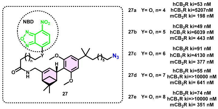 O-NBD and N-NBD probes for CB2R cell imaging.