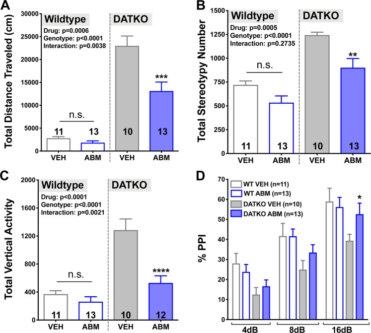 The effectiveness of ABM300 is recapitulated in a second, distinct, mouse model of hyperdopaminergia, the DATKO model, with additional restoration of sensorimotor deficits.ABM300 (10 mg/kg) decreases novelty-induced hyperactivity (total distance traveled; cm) (a), aberrant stereotypic movements (b), and mania-like vertical exploration (c) in the open-field test. ABM300 ameliorates sensorimotor gating deficits (d), rescuing the PPI deficit at 16 dB pre-pulse. All tests balanced for sex, drugs administered 30 min before test via i.p. Data shown as mean ± SEM, *p ≤ 0.05 compared to vehicle (within genotype), *p < 0.05, **p < 0.01, ***p < 0.001, ****p < 0.0001, two-way ANOVA, multiple comparisons, post-hoc Sidak’s test. a Effect of genotype F[1,43] = 116.9, p < 0.0001, effect of drug F[1,43] = 13.89, p = 0.0006, interaction of genotype x drug F[1,43] = 9.384, p = 0.0038. b Effect of genotype F[1,43] = 40.18, p < 0.0001 and effect of drug F[1,43] = 14.22, p = 0.0005, c Effect of genotype F[1,42] = 36.03, p < 0.0001, effect of drug F[1,42] = 19.16, p < 0.0001, interaction of genotype x drug F[1,42] = 10.80, p = 0.0021, d (4 dB) effect of genotype F[1,43] = 8.509, p = 0.0056, (8 dB) effect of genotype F[1,43] = 7.303, p = 0.0098, (16 dB) effect of genotype F[1,43] = 4.713, p = 0.0355.