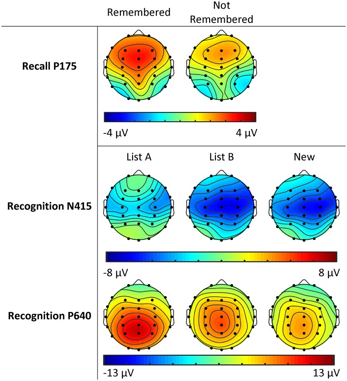 Topographic plots of activity across sites and conditions for P175 in the Recall phase, and N415 and P640 in the Recognition phase for adolescent males (Study 1).