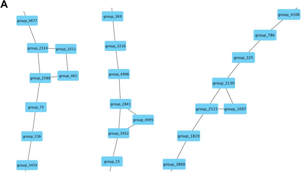 Pangenome graph. a, Representative example of the pangenome graph produced by Panaroo. Each node represents a single gene family, regardless of how many isolates it appears in. Edges connect gene families if they are adjacent to each other in at least one assembly. This information was used to determine the gene adjacency information for the BLAST validation pipeline.