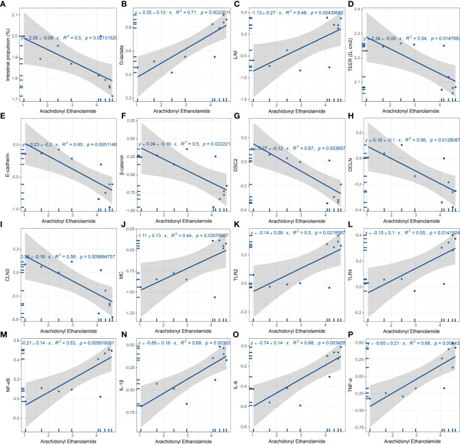 Linear regression analysis of AEA and features of FD. (A) Gastrointestinal motor function. AEA was negatively linear correlated with the gastrointestinal transit rate. (B-D) Duodenal permeability and absorption. AEA was positively linear correlated with L/M ratio (B) and the content of D-lactate (C), while negatively linear correlated with TEER (D). (E-I) Duodenal mucosal barrier. AEA was negatively linear corelated with the relative protein expressions of E-cadherin (E) and β-catenin (F) and the relative mRNA expressions of Dsc2 (G), Ocln (H) and Cln3 (I). (J-P) Innate immune cells and proinflammatory signaling. AEA was positively linear correlated with the relative amounts of mast cells (J), the relative mRNA expressions of Tlr2 (K), Tlr4 (L) and Rela (M), and the contents of proinflammatory cytokines IL-1β (N), IL-6 (O) and TNF-α (P) (All data are log10 transformed. p < 0.05 represent significant) (n = 5 rats/group).