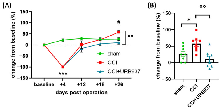 Mechanical stimulation test. (A) Change (%) from baseline values to Von Frey hair stimulation (ipsilateral side) on the pre-operative day (baseline) and +4, +12, +18, and +26 days post-operation. Data are expressed as mean ± SEM. Two-way ANOVA followed by Tukey’s multiple comparison test. *** p < 0.001 CCI and CCI + URB937 vs. sham; # p < 0.05 CCI vs. sham; °° p < 0.01 CCI vs. CCI + URB937. (B) Change (%) from baseline values to Von Frey hair stimulation (ipsilateral side) on day +26 post-surgery. Data are expressed as mean ± SEM. One-way ANOVA followed by Tukey’s multiple comparison test. * p < 0.05 CCI vs. sham and °° p < 0.01 CCI vs. CCI*URB937. N = 8.