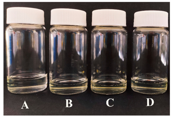 Microemulsions formulated in this study: blank control solution without EOs (A); C. marittimum-ME (B); C. cyminum-ME (C); P. anisum-ME (D). The formulated EO-MEs (5% w/w) are limpid and transparent and, in some cases, with a slight yellowish color.