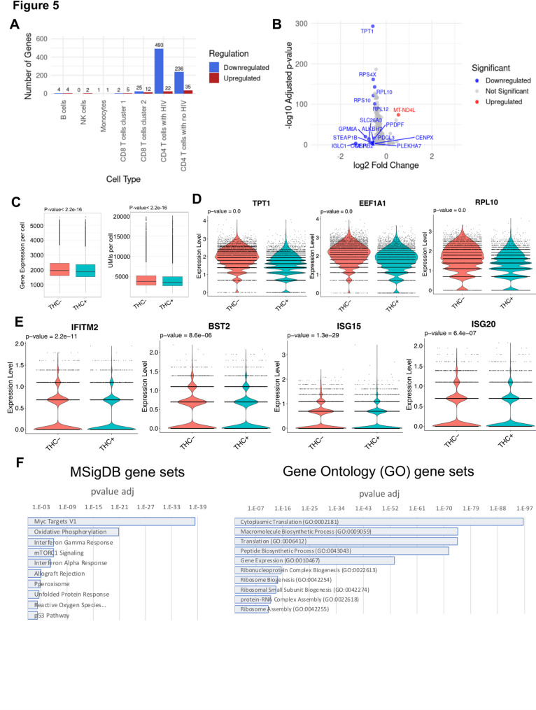 THC affects gene expression in HIV infected CD4 T cells. A Bar plot showing the number of differentially expressed genes (DEGs) across different immune cell types. B Volcano plot of overall differentially expressed genes (DEGs) between HIV-1 infected CD4 T cells exposed to THC vs non-exposure. The significance in DEGs were set with the log2 fold change threshold <—0.5 and the adjusted p-value threshold <—0.05. C Box plot showing the average expressed genes (Left panel) and UMIs (Right panel) per cell by condition. D Violin plot showing downregulation of selected genes that contribute to protein translation, including genes encoding ribosomal subunits (TPT1, EEF1A1, and RPL10) in response to THC exposure. E Violin plot showing expression of selected interferon sensitive genes (IFITM2, ISG15, ISG20 and BST2) in THC-stimulated HIV infected cells. P values from Wilcoxon rank sum tests comparing control and THC exposure. F MSigDB gene set enrichment (Left panel) and Gene ontology analysis of downregulated DEGs for HIV infected cells after THC exposure