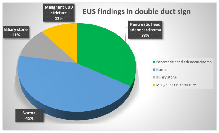 Endoscopic ultrasound finding in double duct sign.