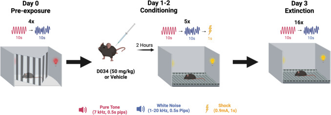 Schematic of Serial Compound Stimulus Paradigm (SCS). The experimental timeline includes three phases: Day 0 (Pre-exposure), Days 1–2 (Conditioning), and Day 3 (Extinction). On Day 0, mice are exposed to alternating presentations of a pure tone (7 kHz, 0.5-s pips) and white noise (1–20 kHz, 0.5-s pips) for 10 s each, repeated four times with pseudorandom intertrial intervals. On Days 1–2, mice receive an intraperitoneal injection of DO34 (50 mg/kg) or vehicle 2 h prior to conditioning. During conditioning, the auditory stimuli are presented in the same sequence, with each trial ending in a 1-s foot shock (0.9 mA). The sequence is repeated five times. On Day 3, mice undergo extinction trials consisting of 16 repetitions of the auditory stimuli without foot shocks