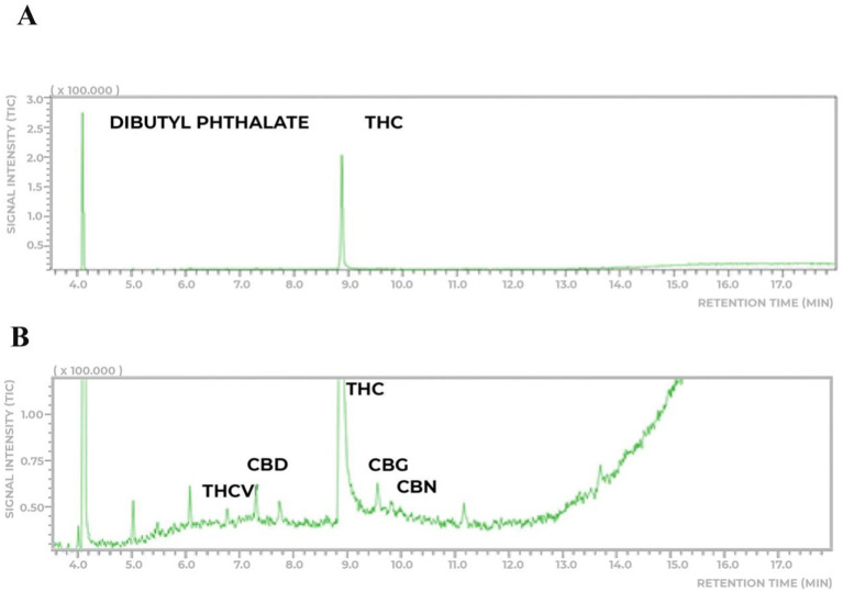 Chemical analyses of the THC-rich cannabis extract. (A) The extract analyzed has a higher prevalence of THC (8.7% ± 0.5 m/m) and lower concentration (0.75% ± 0.15) of CBD. (B) Thepresence of other phytocannabinoids to a very lesser extent was detected.