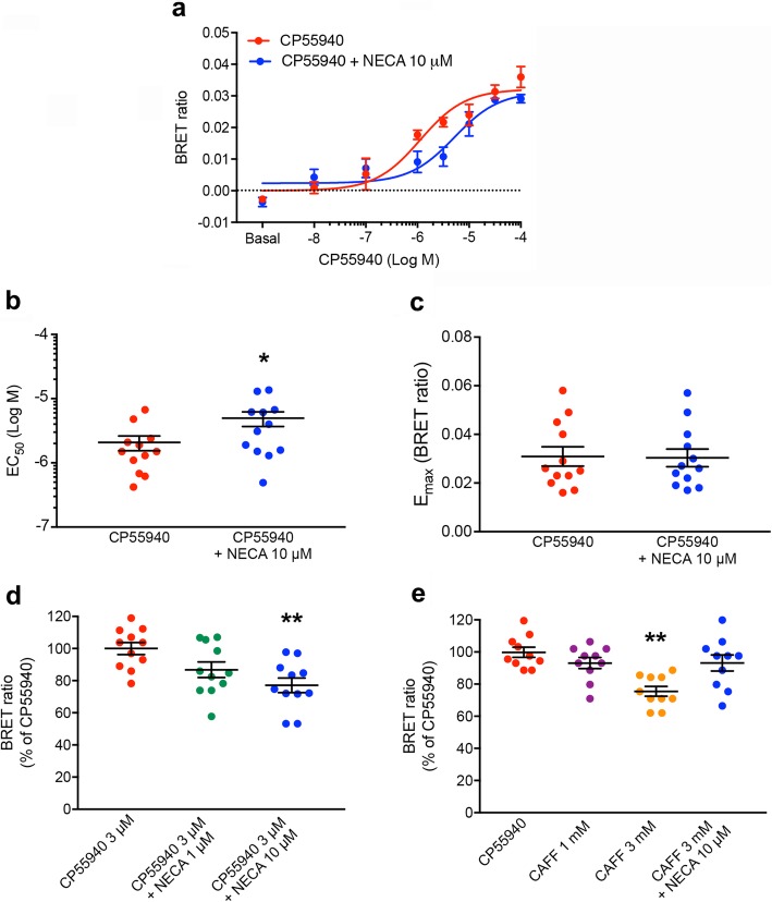 Modulation by A2AR ligands on CB1R-mediated G protein activation in the A2AR-CB1R heteromer. a–e CODA-RET experiments, where two complementary halves of Rluc (cRluc and nRluc) are respectively fused to the A2AR and CB1R and YFP is fused to the α-subunit of Gi. HEK-293T cells were transiently transfected with cDNAs of A2AR-cRluc (3.33 μg), CB1R-nRluc (1.67 μg), Gαi1-YFP (5 μg), and non-fused β1 and γ2 subunits (4.5 μg and 5 μg, respectively). a Concentration-response curves of the effect of the selective CB1R agonist CP55940 on the ligand-induced BRET changes, which are determined by changes in the interaction of the A2AR-CB1R heteromer with Gi, in the presence (blue plot) and absence (red plot) of the non-selective adenosine agonist NECA (10 μM). Data are means ± S.E.M. of triplicate BRET ratio values of a representative experiment. b, c EC50 and Emax values of 12 independent experiments performed in triplicate, expressed as means ± S.E.M.; the EC50 and Emax values were obtained by non-linear regression fitting to a sigmoidal concentration-response curve and analyzed statistically with a paired t-test (*: p < 0.05, compared with the absence of NECA). d, e Modification by NECA (1 and 10 μM), caffeine (CAFF, 1 and 3 mM) and NECA (10 μM) plus caffeine (3 mM) on the effect of an EC50 concentration of CP55940 (2 μM); values are means ± S.E.M. (n = 10–11 with triplicates) of the percentage of the effect of CPP55940 alone and analyzed statistically with repeated measures ANOVA, followed by Dunnett’s multiple comparison test (**: p < 0.01, compared with CPP55940 alone)