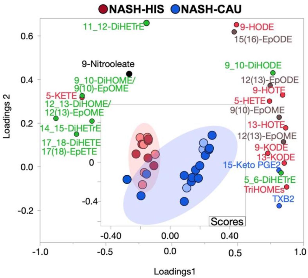 Supervised multivariate clustering model demonstrating comparing OXLs profile in HIS and CAU with NASH and advance fibrosis.Score plot for NASH-HIS vs. NASH-CAU when including stage 3 and 4 (n = 12 HIS and 17 CAU). Light color represents subjects from primary cohort and dark color represents secondary cohort. The model was performed on all profiled lipids. Lipid mediators are colored according to their metabolizing enzymes pathways, lipoxygenase, and autoxidation (red); cytochrome p450 epoxygenase (brown); and soluble epoxide hydrolase (green); cyclooxygenase (blue); other (black). The model was validated with leave-one-out cross validation (LOOCV). The (Q2) and (R2) is 0.62 and 0.72. Details on variable importance into the projection (VIP) scores and cross validation are shown in Table S6. CAU, Caucasian; HIS, Hispanics; DiHETE, dihydroxyeicosatetraenoic acid; DiHETrE, dihydroxyeicosatrienoic acid; DiHODE, dihydroxyoctadecadienoic acid; DiHOME, dihydroxyoctadecenoic acid; EpETE, epoxyeicosatetraenoic acid; EpETrE, epoxyeicosatrienoic acid; EpODE, epoxyoctadecadienoic acid; EpOME, epoxyoctadecenoic acid; HETE, hydroxyeicosatetraenoic acid; HODE, hydroxyoctadecadienoic acid; HOTE, hydroxyoctadecatrienoic acid; KETE, keto-eicosatetraenoic; KODE, keto-octadecadienoic acid; PGE, prostaglandin E; TriHOME, trihydroxyoctadecaenoic acid; TXB, thromboxane.