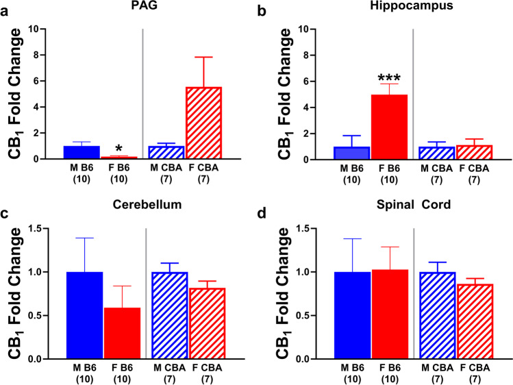 CB1R mRNA expression in the PAG of naïve mice parallels observed sex differences in ∆9-THC-induced antinociception in B6 and CBA mice. The fold change in CB1R expression was determined for naïve male (blue) and female (red) B6 (left panels, solid bars) and CBA (right panels, striped bars) mice in the a PAG, b hippocampus, c cerebellum, and d spinal cord. Error bars represent the mean ± SEM; data were analyzed using unpaired two-tailed t-tests (*p<0.05, ***p<0.001 comparing sex within strain). Sample sizes for each group are in parentheses