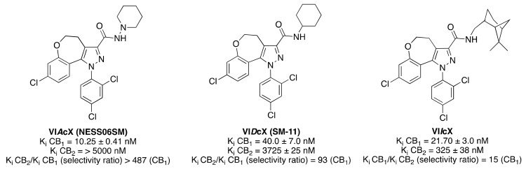 Structure of representative 4,5-dihydro-1H-benzo(2,3)oxepino(4,5-c)pyrazole-based derivatives (VI). Affinities at CB1 and CB2 receptors were assessed by competition of (3H)-CP 55,940 in mouse cerebellum membranes and in mouse spleen homogenates, respectively [73].