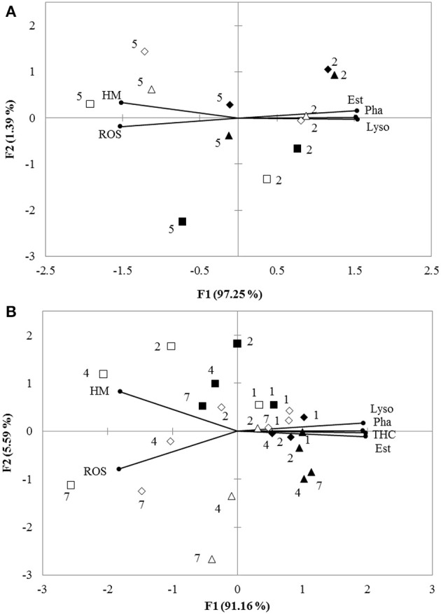 (A) Biplot originating from PCA integrating all measured variables (HM, Pha, Est, ROS, and Lyso) and two time points (hours: 2 and 5) at six different treatments (■−15‰ × pH 8.1, □−15‰ × pH 7.3, ▴−25‰ × pH 8.1, Δ-25‰ × pH 7.3, ♦−35‰ × pH 8.1, ♢−35‰ × pH 7.3) for in vitro experiment. (B) Biplot originating from principal component analysis integrating all measured variables (HM, Pha, Est, ROS, Lyso, and THC) and four time points (days: 1, 2, 4, and 7) at six different treatments (■−15‰ × pH 8.1, □−15‰ × pH 7.3, ▴−25‰ × pH 8.1, Δ-25‰ × pH 7.3, ♦−35‰ × pH 8.1, ♢−35‰ × pH 7.3) for in vivo experiment. Both the loadings of the variables (•) and the scores of the experimental conditions were shown.