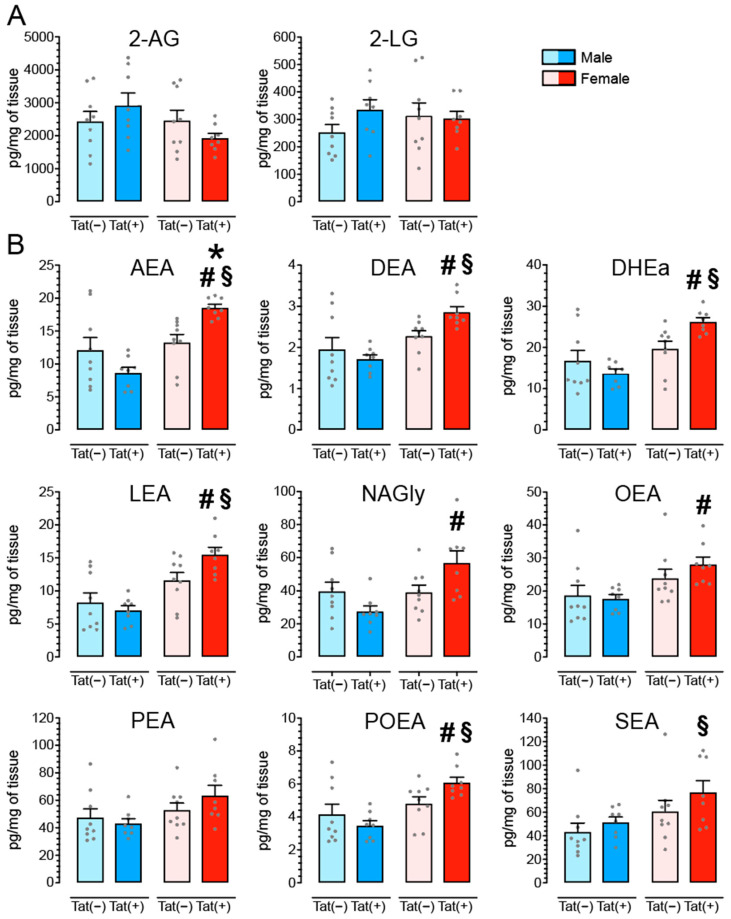 AEA and seven related non-eCB lipids are significantly upregulated in the PFC of female Tat(+) mice. Concentrations of AEA, 2-AG and other lipid molecules were assessed in the PFC of Tat transgenic mice using LC/MS/MS. Lipid concentrations were normalized to pg/mg of tissue. (A) No significant effects were noted for 2-AG or its related non-eCB lipid 2-LG. (B) For AEA and eight related non-eCB lipids, a significant sex and/or sex x genotype interaction was noted (see Table 1 for ANOVA results) with female Tat(+) mice demonstrating significant increased lipid concentrations in the PFC compared to one or more of the other three groups, except for PEA. Data of (non-)eCB concentration are expressed in pg/mg (mean ± SEM) separated by sex and genotype. Statistical significance was assessed by ANOVA followed by Bonferroni post hoc tests; * p < 0.05 vs. Tat(−) female, # p < 0.05 vs. Tat(+) male, § p < 0.05 vs. Tat(−) male. Sample size: n = 9, Tat(−) mice per sex; n = 8, Tat(+) mice per sex. Please see Supplemental Table S2 for the actual concentration values (mean ± SEM).