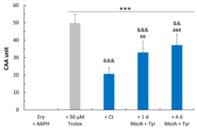 Cellular antioxidant activity (CAA) of hemp cell extracts evaluated in an ex vivo human erythrocyte system. Trolox was used as a reference standard. Values represent the mean ± SD of five measurements. Ery + AAPH: erythrocytes exposed to AAPH; Ct: control; 1 d: 1 day; 4 d: 4 days; MeJA: methyl jasmonate; Tyr: tyrosine. One-way ANOVA with Bonferroni’s post hoc test was applied: * indicates significance versus Ery + AAPH (*** p ≤ 0.001); # indicates significance versus the Ct sample (## p ≤ 0.01; ### p ≤ 0.001); and & indicates significance versus 50 μM Trolox (&& p ≤ 0.01; &&& p ≤ 0.001).