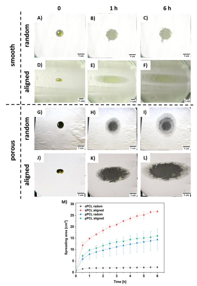Images of hemp oil spreading s tests up to 6 h for (A–C) sPCL random, (D–F) sPCL aligned, (G–I) pPCL random, (J–L) pPCL aligned, and (M) graph summarizing all the spreading area of hemp oil measured every 30 min during 6 h tests.