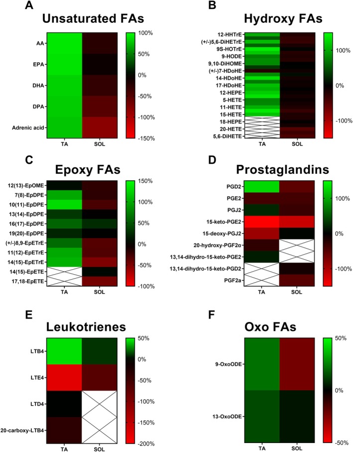 The effect of hSOD1 genotype on the inflammatory lipid mediator abundance in the tibialis anterior (TA) and soleus muscle (SOL). Lipid mediators include the unsaturated fatty acids (FAs; panel A) arachidonic acid (AA), EPA, DHA, DPA and adrenic acid. Hydroxy fatty acids (FAs; panel B) include HHTrEs, DiHETrEs, HOTrEs, HODE, DiHOME, HDoHE, HEPEs, HETEs, DiHETE. Epoxy fatty acids (FAs; panel C) include EpOME, EpDPEs, EpETrEs, and EpETEs. Other lipid mediators are prostaglandins (PGs; panel D), leukotrienes (LTs; panel E) and oxo fatty acids (FAs; panel F), that is, oxoODEs. The heat maps show the %‐difference in lipid mediator muscle abundance between the hSOD1‐transgene and nontransgenic control mice, for the TA and SOL (n = 5/group).