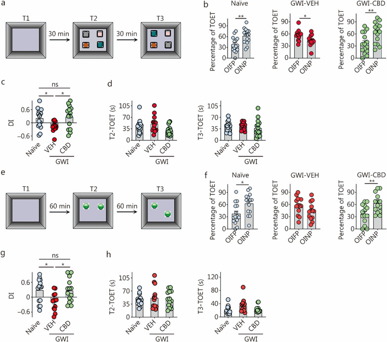 CBD treatment enhanced associative recognition and object location memory in rats with chronic GWI. a The cartoon illustrates the sequence of trials in an OIPT. b The bar charts compare percentages of the TOETs spent with the OIFP and the OINP in different animal groups (naïve, n = 15; GWI-VEH, n = 13; GWI-CBD, n = 15). c The bar chart compares the OINP-DI values across groups. d The bar charts compare the TOETs across groups in T2 and T3. e The cartoon illustrates the sequence of trials in an OLT. f The bar charts compare percentages of the TOETs spent with the OIFP and OINP in different animal groups (naïve, n = 15; GWI-VEH, n = 13; GWI-CBD, n = 14). g The bar chart compares the OINP-DI values across groups. h The bar charts compare the TOETs across groups in T2 and T3. *P < 0.05, **P < 0.01, ns non-significant. Please refer to Tables S3 and S4 in Additional file 1 for detailed statistical information. CBD cannabidiol, GWI Gulf War Illness, OIPT object-in-place test, OIFP objects in familiar place, OINP objects in novel place, VEH vehicle, DI discrimination index, TOET total object exploration time, T trial, OLT object location test