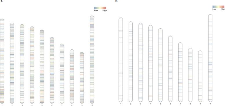 Distribution of genomic variants and DNA methylation sites across the cannabis genome of Critical Purple Kush (CPK) cultivar. A Single nucleotide polymorphisms (SNPs); B Differentially methylated positions (DMPs)