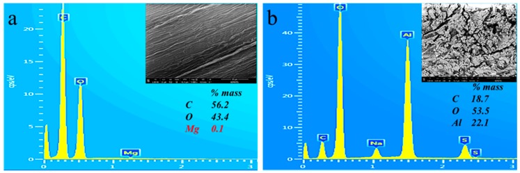 Sample EDS spectra of: (a) NaOH-treated; and (b) Al2(SO4)3-treated abaca.