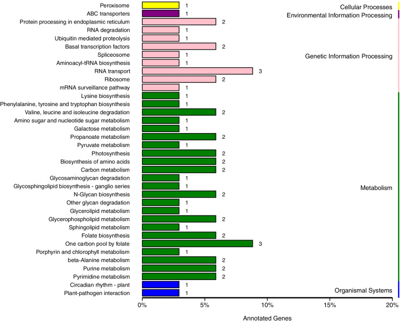 KEGG [82–84] annotated results of non-synonymous genes