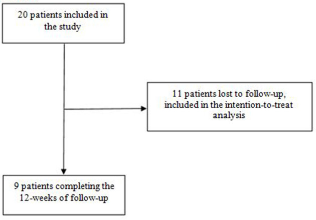 Flow chart.
