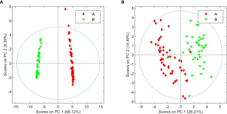 PCA score plots of organic (A) and aqueous (B) extracts from chemovars A and B after removal of outliers.