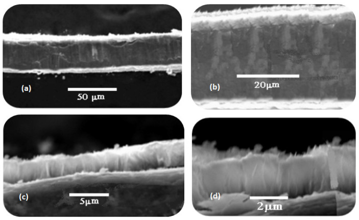 SEM cross-sectional images of ZnO nanorods: (a,b) side view; (c) top edge view; (d) bottom edge view.