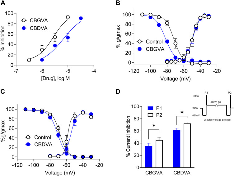 CBGVA and CBDVA inhibit Cav3.1 channel currents. (A) Concentration-response curve for CBGVA and CBDVA inhibition of Cav3.1 channels. Whole-cell patch-clamp recordings were made from HEK T-rex Cav3.1 channel currents evoked by stepping −100 mv to −30 mv every 12 s. Steady-state activation and inactivation curves of HEK Cav3.1 in the absence (control) and presence of (B) CBGVA (5 µM) (C) CBDVA (5 µM). Data presented are mean ± SEM of 10–11 cells. (D) Cav3.1 channel slow inactivated state was elicited by a 2-pulse voltage protocol (inset). This elicited a significant increase in peak current inhibition by CBGVA and CBDVA. Data presented are mean ± SEM of % inhibition of peak current of vehicle control for 9 cells. Statistical analysis was performed using a student T-test with * denoting p < 0.05. Some data points do not have visible error bars due to low variability.