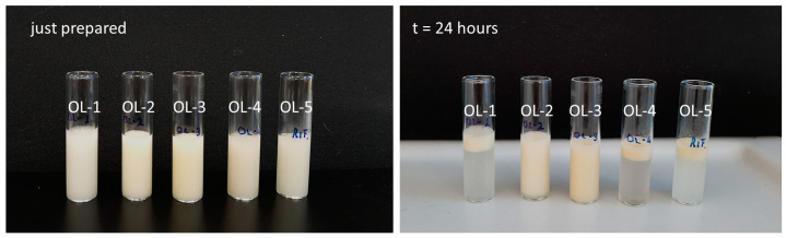 Images of the placebo emulsions immediately after the preparation and after 24 h.