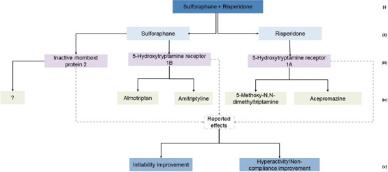 Proteomic targets graph for sulforaphane + risperidone treatment. The numbers point to a given category level as follows: (i) Treatement; (ii) Compound; (iii) Proteomic targets; (iv) Target-associated drugs; (v) Observed effects.