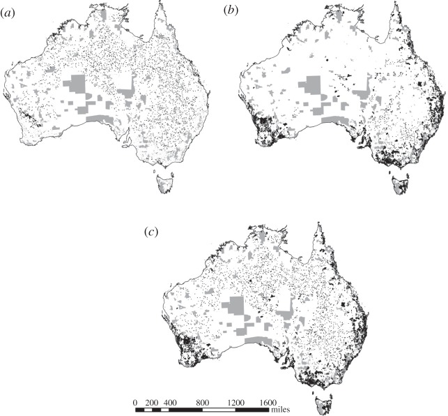 Spatial distribution of proposed protected areas and existing protected areas for each of the planning scenarios. Grey areas represent the current protected areas; black areas represent the proposed additional protected areas for each scenario's best solution. (a) Achieving 10% ecosystem targets; (b) achieving threatened species coverage targets; and (c) achieving both threatened species and ecosystem targets simultaneously.