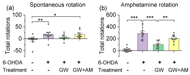 GW842166x (GW) treatment decreased spontaneous and amphetamine-induced rotations. (a) Mice unilaterally injected with 6-OHDA exhibited an increase in spontaneous rotations compared to vehicle-injected mice (** p = 0.009, n = 13–13). GW without AM630 (AM) co-treatment did not significantly alter the number of spontaneous rotations relative to control mice (p = 0.484, n = 10–13). GW plus AM co-treatment significantly increased the number of spontaneous rotations relative to 6-OHDA controls (* p = 0.011, n = 11–13). (b) Unilateral 6-OHDA injection increased amphetamine-induced (5 mg/kg, i.p.) net rotations relative to control mice (*** p < 0.001, n = 13–13). This increase in rotations was attenuated by GW treatment (*** p < 0.001, n = 10–13), and the effect of GW was prevented by AM co-treatment (*** p = 0.004, n = 10–11).