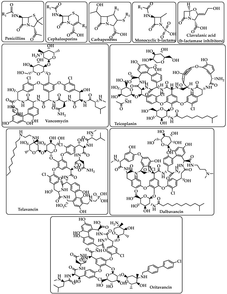 Chemical structure of penicillins, cephalosporins, carbapenems, monocyclic β-lactams, clavulanic acid (β-lactamase inhibitors), vancomycin, teicoplanin, telavancin, dalbavancin, and oritavancin.
