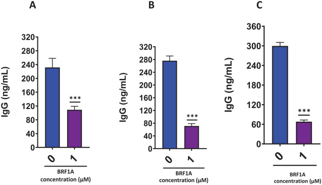 BRF1A inhibits IgG production in IgG-producing myeloma cells (ARH77 cells) in a dose-dependent manner. IgG production in ARH77 cells measured by ELISA. (A) Day 1. (B) Day 3. (C) Day 5.Data represent triplicate experiments and are expressed as mean ± SD. *P < .05; **P < .01; ***P < .001 versus control (0.1% DMSO).