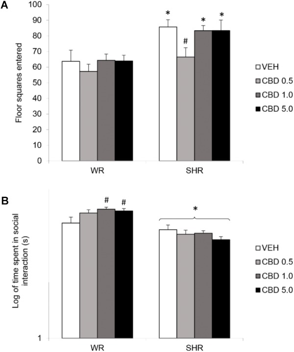 Locomotor activity, assessed by the number of floor squares entered (A), and social interaction duration (B) of adult WRs and SHRs (n = 10/group) treated with vehicle (VEH) or cannabidiol (CBD – 0.5 mg/kg, 1.0 mg/kg, or 5.0 mg/kg) during peri-adolescence (30–60 post-natal day). Data from social interaction duration(s) were logarithmically transformed. Data reported as mean ± SEM. Two-way ANOVA followed by Duncan’s test. ∗p < 0.001 compared to WRs of same treatment. #p < 0.05 compared to VEH-treated animals of the same strain. SHR, spontaneously hypertensive rats; WR, Wistar rats.